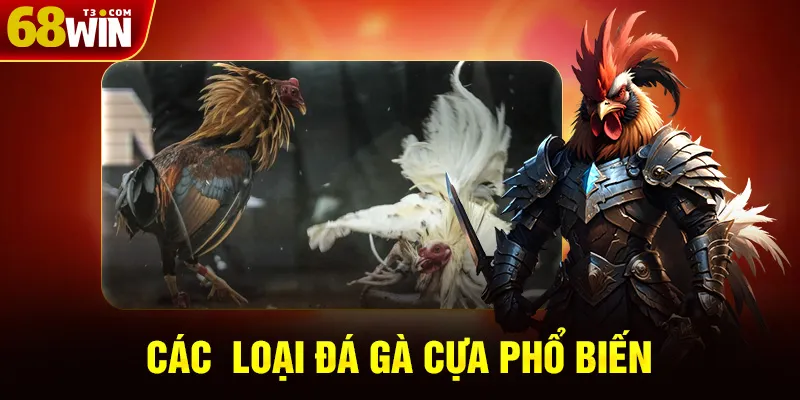 Các Loại Đá Gà Phổ Biến