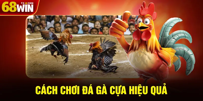 Mẹo chơi hiệu quả