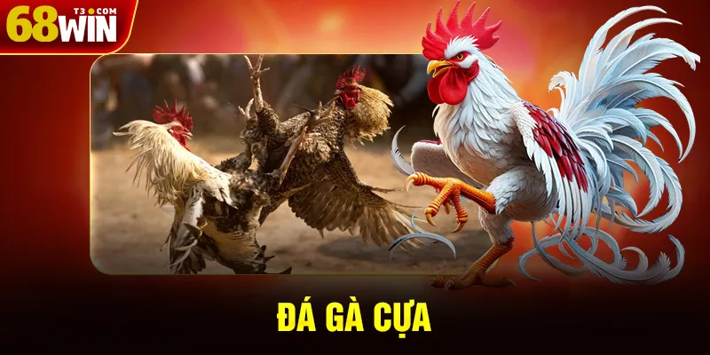 Đá Gà Cựa - Quy Tắc Cơ Bản Và Cách Chơi Tại 68WIN