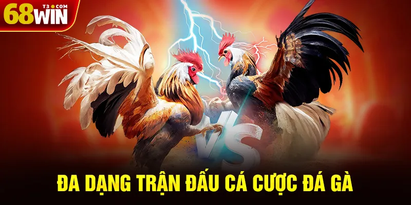 Đa Dạng Trận Đấu Cá Cược Đá Gà
